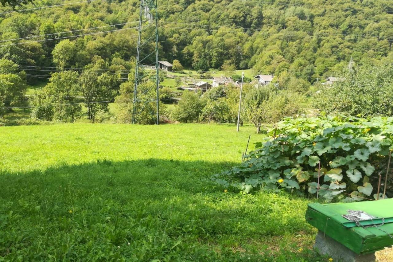 Il Bilocale Della Nonna Villa Locana Ngoại thất bức ảnh